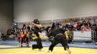 IMG_3361.JPG